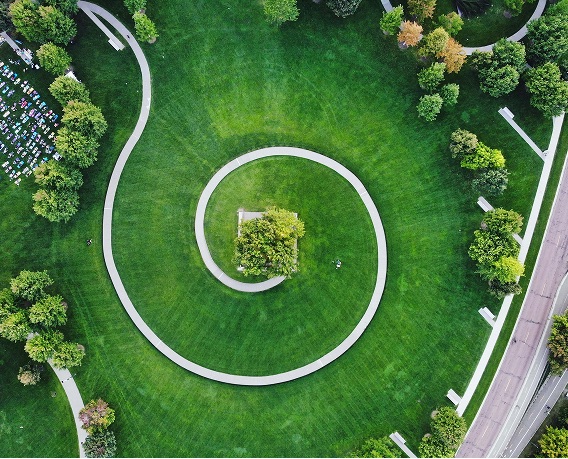 Tree Ledger overview