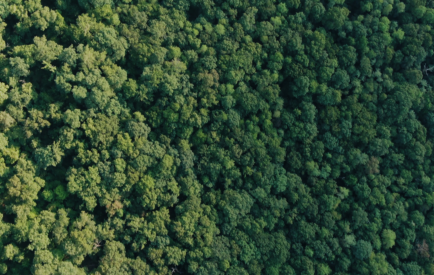 Commercial Page Cover